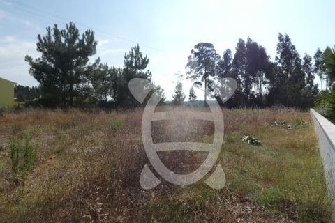 Terra a Anca, Coimbra, Anca - € 65.000 | Ref: cbr2408 - foto 3