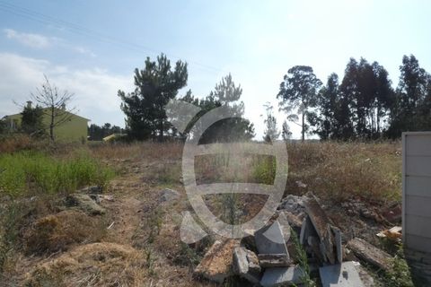 Terra a Anca, Coimbra, Anca - € 65.000 | Ref: cbr2408 - foto 2