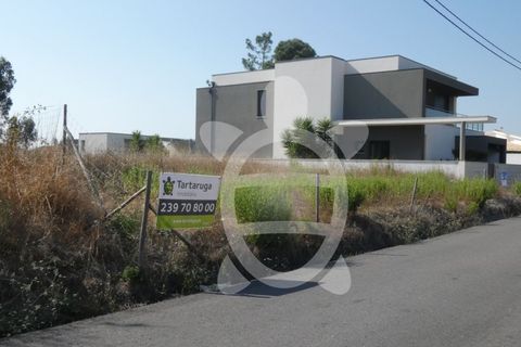 Terra a Anca, Coimbra, Anca - € 65.000 | Ref: cbr2408 - foto 4