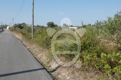 Terra a Anca, Coimbra, Anca - € 65.000 | Ref: cbr2408 - foto 5