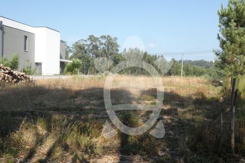 Terra a Anca, Coimbra, Anca - € 65.000 | Ref: cbr2408 - foto 7