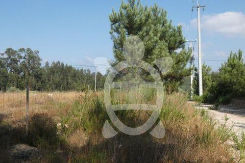 Terra a Anca, Coimbra, Anca - € 65.000 | Ref: cbr2408 - foto 8