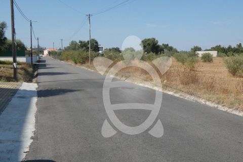 Terra a Anca, Coimbra, Anca - € 65.000 | Ref: cbr2408 - foto 9