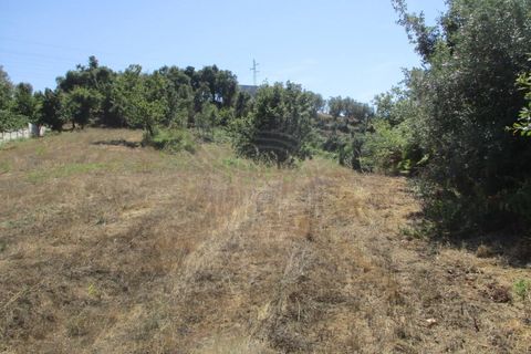 Helårsgrund i Figueiro do Campo, Coimbra, Figueiro do Campo - € 61.500 | Ref: cdx0471 - foto 3