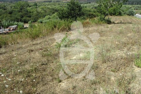 Helårsgrund i Figueiro do Campo, Coimbra, Figueiro do Campo - € 61.500 | Ref: cdx0471 - foto 2