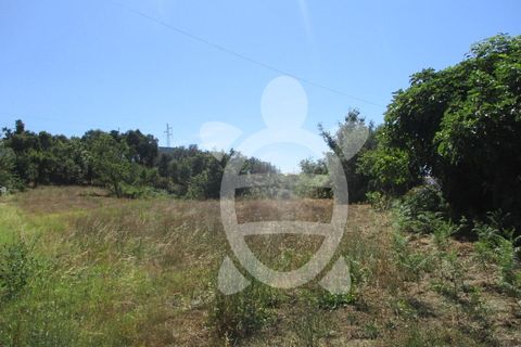 Helårsgrund i Figueiro do Campo, Coimbra, Figueiro do Campo - € 61.500 | Ref: cdx0471 - foto 5