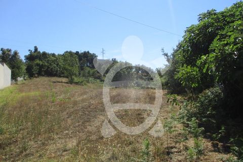 Helårsgrund i Figueiro do Campo, Coimbra, Figueiro do Campo - € 61.500 | Ref: cdx0471 - foto 6