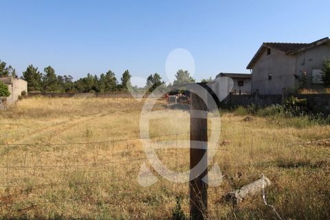 Helårsgrund i Coimbra, Coimbra, Coimbra - € 80.000 | Ref: cdx0470 - foto 6