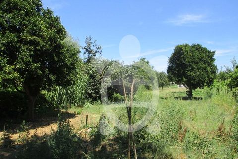 Villa i Coimbra, Coimbra, Coimbra - € 49.500 | Ref: cbr2397 - foto 5