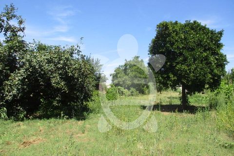Villa i Coimbra, Coimbra, Coimbra - € 49.500 | Ref: cbr2397 - foto 8