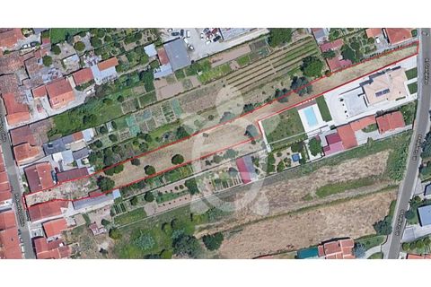 Villa i Coimbra, Coimbra, Coimbra - € 49.500 | Ref: cbr2397 - foto 9