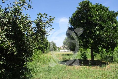 Villa i Coimbra, Coimbra, Coimbra - € 49.500 | Ref: cbr2397 - foto 11