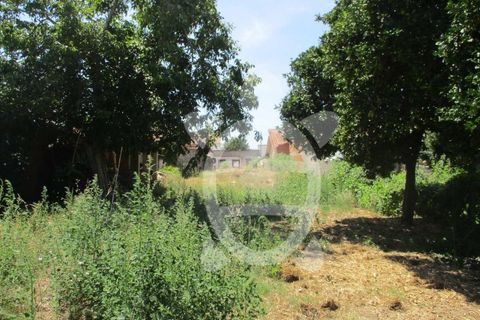 Villa i Coimbra, Coimbra, Coimbra - € 49.500 | Ref: cbr2397 - foto 13
