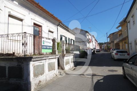 Helårsgrund i Coimbra, Coimbra, Coimbra - € 49.500 | Ref: cbr2397 - foto 13