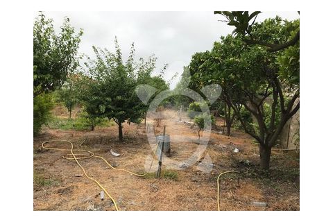 Villa a Lavos, Coimbra, Lavos - € 325.000 | Ref: ff1041 - foto 21