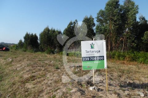 Helårsgrund i Coimbra, Coimbra, Coimbra - € 300.000 | Ref: cbr2351 - foto 1