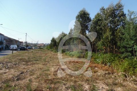 Helårsgrund i Coimbra, Coimbra, Coimbra - € 300.000 | Ref: cbr2351 - foto 4
