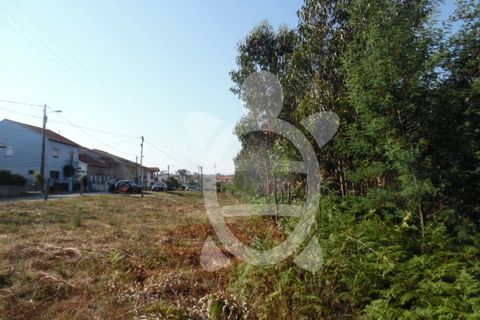Helårsgrund i Coimbra, Coimbra, Coimbra - € 300.000 | Ref: cbr2351 - foto 5