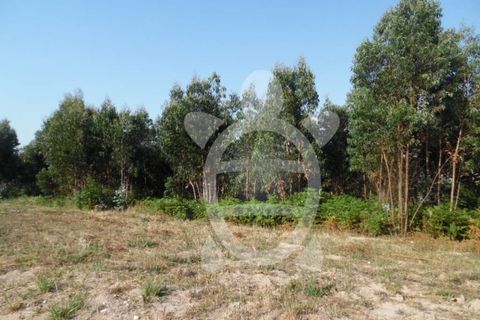 Helårsgrund i Coimbra, Coimbra, Coimbra - € 300.000 | Ref: cbr2351 - foto 7