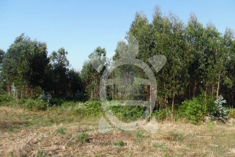 Helårsgrund i Coimbra, Coimbra, Coimbra - € 300.000 | Ref: cbr2351 - foto 8