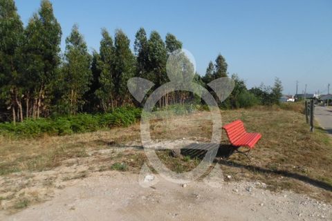 Helårsgrund i Coimbra, Coimbra, Coimbra - € 300.000 | Ref: cbr2351 - foto 9