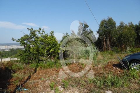 Helårsgrund i Coimbra, Coimbra, Coimbra - € 300.000 | Ref: cbr2351 - foto 12