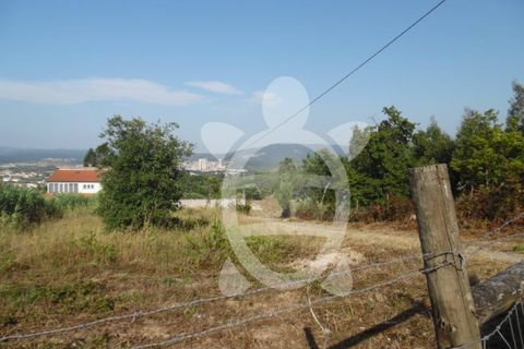 Helårsgrund i Coimbra, Coimbra, Coimbra - € 300.000 | Ref: cbr2351 - foto 13