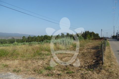 Helårsgrund i Coimbra, Coimbra, Coimbra - € 300.000 | Ref: cbr2351 - foto 14