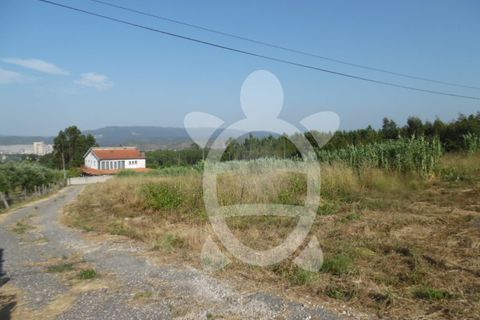 Helårsgrund i Coimbra, Coimbra, Coimbra - € 300.000 | Ref: cbr2351 - foto 15