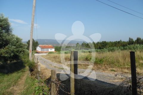 Helårsgrund i Coimbra, Coimbra, Coimbra - € 300.000 | Ref: cbr2351 - foto 17