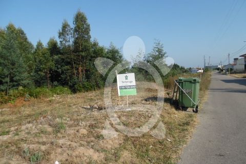 Helårsgrund i Coimbra, Coimbra, Coimbra - € 300.000 | Ref: cbr2351 - foto 20