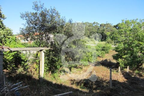 Villa i Buarcos, Coimbra, Buarcos - € 320.000 | Ref: ff1038 - foto 20