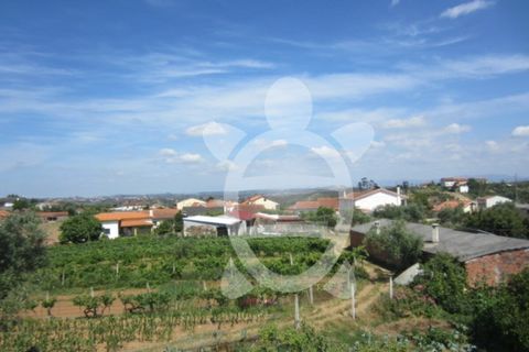 Villa a Penacova, Coimbra, Penacova - € 74.500 | Ref: cbr2347 - foto 24