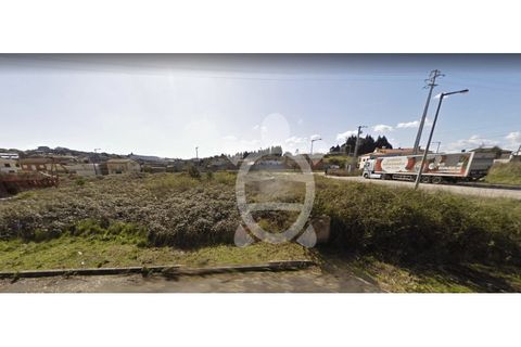 Tomt i Mealhada, Aveiro, Mealhada - € 50 000 | Ref: cbr2323 - foto 3