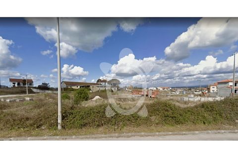 Tomt i Mealhada, Aveiro, Mealhada - € 50 000 | Ref: cbr2323 - foto 4