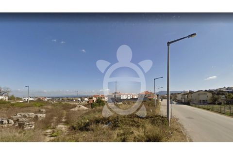 Tomt i Mealhada, Aveiro, Mealhada - € 50 000 | Ref: cbr2323 - foto 7
