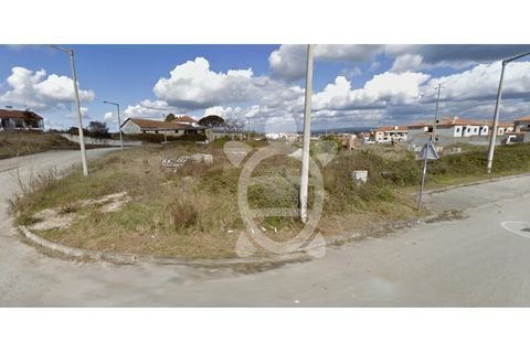 Tomt i Mealhada, Aveiro, Mealhada - € 50 000 | Ref: cbr2323 - foto 8