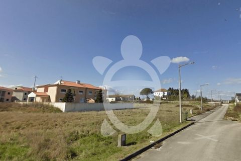 Tomt i Mealhada, Aveiro, Mealhada - € 60 000 | Ref: cbr2325 - foto 5