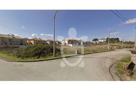 Helårsgrund i Mealhada, Aveiro, Mealhada - € 70.000 | Ref: cbr2326 - foto 6