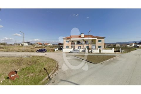 Helårsgrund i Mealhada, Aveiro, Mealhada - € 70.000 | Ref: cbr2326 - foto 7