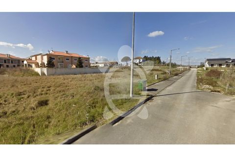 Tomt i Mealhada, Aveiro, Mealhada - € 80 000 | Ref: cbr2328 - foto 6