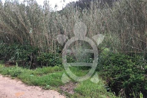 Helårsgrund i Vila Verde, Coimbra, Vila Verde - € 130.000 | Ref: ff1016 - foto 4