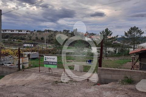 Helårsgrund i Coimbra, Coimbra, Coimbra - € 47.500 | Ref: cbr2286 - foto 11