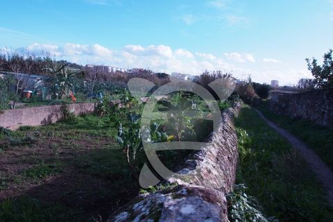 Helårsgrund i Tavarede, Coimbra, Tavarede - € 64.900 | Ref: ff0912 - foto 5