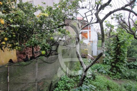 Helårsgrund i Tavarede, Coimbra, Tavarede - € 64.900 | Ref: ff0912 - foto 9