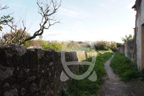 Helårsgrund i Tavarede, Coimbra, Tavarede - € 64.900 | Ref: ff0912 - foto 23