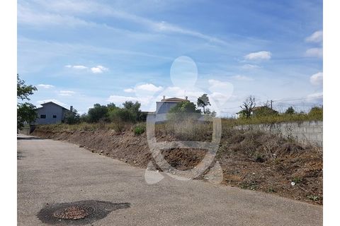 Helårsgrund i Assafarge e Antanhol, Coimbra, Assafarge e Antanhol - € 69.500 | Ref: cbr1984 - foto 3