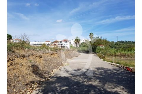 Helårsgrund i Assafarge e Antanhol, Coimbra, Assafarge e Antanhol - € 69.500 | Ref: cbr1984 - foto 5