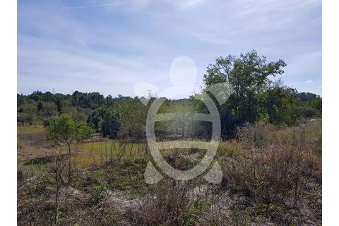 Helårsgrund i Assafarge e Antanhol, Coimbra, Assafarge e Antanhol - € 69.500 | Ref: cbr1984 - foto 6