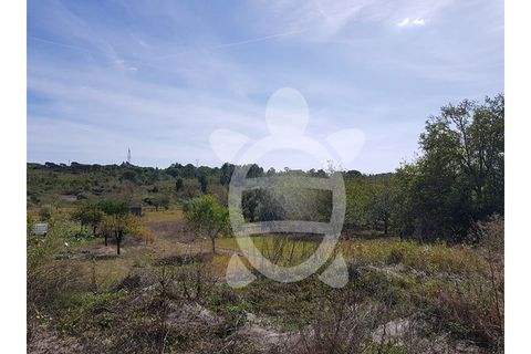 Helårsgrund i Assafarge e Antanhol, Coimbra, Assafarge e Antanhol - € 69.500 | Ref: cbr1984 - foto 7